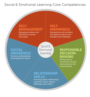 Social & Emotional Learning Care Competencies